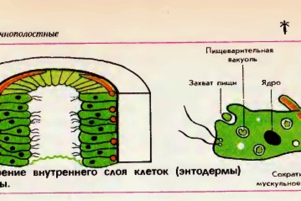 Kraken официальный сайт