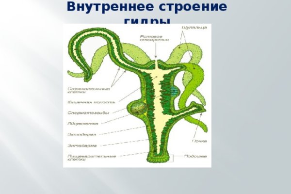 Кракен вы забанены что это