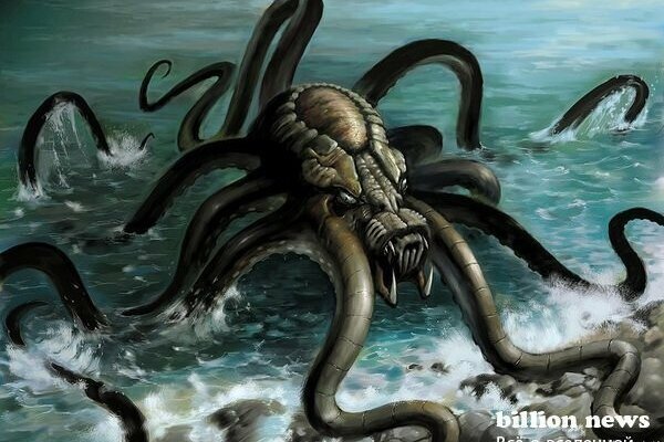 Kraken web