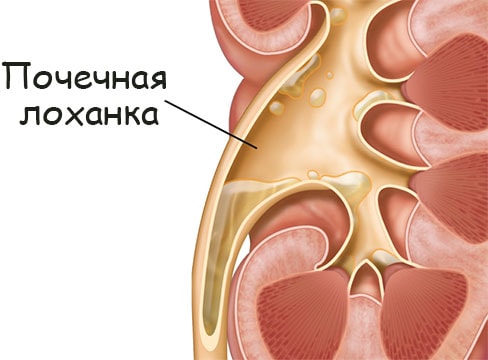 Обменники на меге перевод на альфа банк